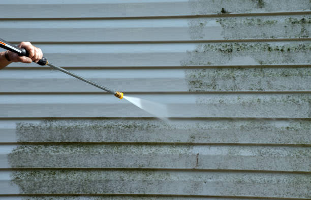 Best Sidewalk and Walkway Cleaning  in Dallas, TX